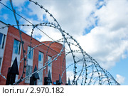 Колючая проволока на тюремной ограде. Стоковое фото, фотограф Володина Ольга / Фотобанк Лори