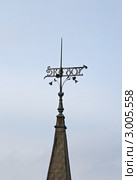 Флюгер. Стоковое фото, фотограф Юлия Бабкина / Фотобанк Лори