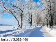 Зимний пейзаж, набережная Костромы. Стоковое фото, фотограф ElenArt / Фотобанк Лори