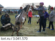 Коза заигрывает с  ребенком (2011 год). Редакционное фото, фотограф Алена Потапова / Фотобанк Лори