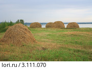 Сено на берегу озера Караси. Стоковое фото, фотограф Анатолий Матвейчук / Фотобанк Лори