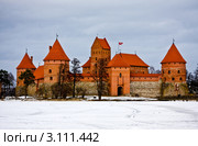 Тракайский замок зимой. Литва (2011 год). Стоковое фото, фотограф Наталья Белотелова / Фотобанк Лори