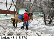 Девушка ведет пони по улице (2011 год). Редакционное фото, фотограф Щеголева Ольга / Фотобанк Лори