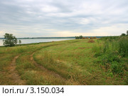 Дорога по скошенному лугу у озера Караси (2011 год). Стоковое фото, фотограф Анатолий Матвейчук / Фотобанк Лори