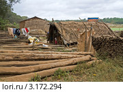 Индия. Хижина лесорубов (2011 год). Стоковое фото, фотограф Анатолий Ефимов / Фотобанк Лори