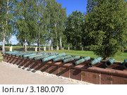 Бородино. Музей на Бородинском поле (2011 год). Редакционное фото, фотограф Дмитрий Неумоин / Фотобанк Лори