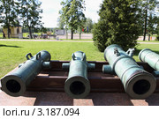 Бородино. Музей на Бородинском поле (2011 год). Редакционное фото, фотограф Дмитрий Неумоин / Фотобанк Лори