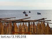 Атлантика. Южный берег острова Мадейра.  Сушка рыбы у Камара ди Лобуш (Camara de Lobos) (2011 год). Стоковое фото, фотограф Виктория Катьянова / Фотобанк Лори