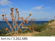 На горизонте Афон. Ситония. Халкидики (2011 год). Стоковое фото, фотограф Александра Меланич / Фотобанк Лори