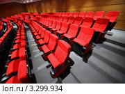 Красные кресла в пустом зрительном зале. Стоковое фото, фотограф Losevsky Pavel / Фотобанк Лори