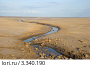 Ручей в пустыне (2011 год). Редакционное фото, фотограф Надежда Болотина / Фотобанк Лори