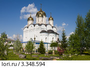 Вид в Лужецком монастыре. Город Можайск Московской области (2011 год). Стоковое фото, фотограф Солодовникова Елена / Фотобанк Лори