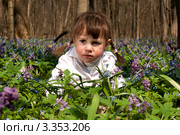 Девочка среди разноцветных цветов. Стоковое фото, фотограф Юлия Гусакова / Фотобанк Лори