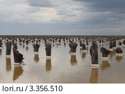 Добыча соли на озере Баскунчак (2011 год). Редакционное фото, фотограф Алексей Воронцов / Фотобанк Лори
