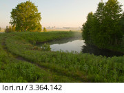 Тропинка ведущая в город (2011 год). Стоковое фото, фотограф Михаил Митин / Фотобанк Лори