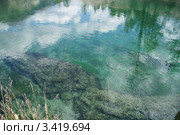 Прозрачная вода в реке. Стоковое фото, фотограф Витинская Светлана / Фотобанк Лори