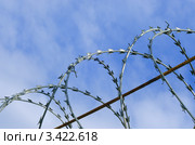 Витки колючей проволоки на фоне синего неба. Стоковое фото, фотограф Галина Власова / Фотобанк Лори