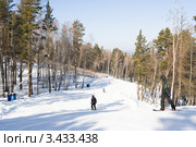 Красноярский фанпарк Бобровый лог. Трасса для горных лыж и сноуборда. Стоковое фото, фотограф Шичкина Антонина / Фотобанк Лори