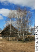 Весна, пейзаж, четыре берёзки, Беларусь (2012 год). Стоковое фото, фотограф Марина Шатерова / Фотобанк Лори