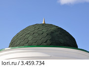 Заводоуковск. Зеленая крыша ротонды покрытая ондулином. Стоковое фото, фотограф Александр Тараканов / Фотобанк Лори