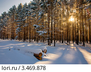 Зимний пейзаж с солнцем и лесом. Стоковое фото, фотограф Алексей Строганов / Фотобанк Лори