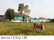 Деревня, Красный Лог в Воронежской области. Стоковое фото, фотограф Дмитрий Неумоин / Фотобанк Лори