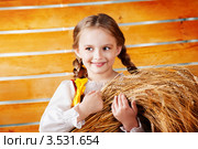 Красивая девочка с колосьями пшеницы. Стоковое фото, фотограф Чирцова Наталья / Фотобанк Лори
