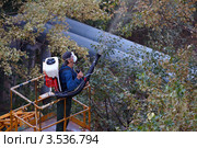 Обработка деревьев химикатами от вредителей. Стоковое фото, фотограф Юрий Синицын / Фотобанк Лори