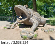 Гигантская жаба (2012 год). Редакционное фото, фотограф Parmenov Pavel / Фотобанк Лори