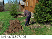 Женщина копает грядку на садовом участке. Стоковое фото, фотограф Юрий Синицын / Фотобанк Лори