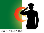 Алжирский флаг с силуэтом военного, отдающего честь. Стоковая иллюстрация, иллюстратор Александр Макаров / Фотобанк Лори