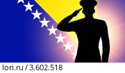Флаг Боснии и Герцеговины с силуэтом военного, отдающего честь. Стоковая иллюстрация, иллюстратор Александр Макаров / Фотобанк Лори