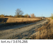 Дорога. Стоковое фото, фотограф Алена Крюкова / Фотобанк Лори