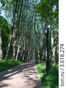 Дорожка в парке музея-заповедника "Царицыно" (2012 год). Редакционное фото, фотограф Родион Власов / Фотобанк Лори