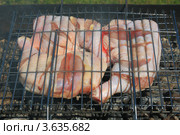 Начало приготовления окорочков на углях. Стоковое фото, фотограф Анатолий Матвейчук / Фотобанк Лори