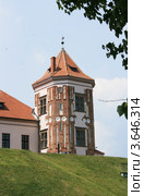 Мирский замок, г. п. Мир, Гродненская обл., Беларусь (2012 год). Стоковое фото, фотограф Марина Шатерова / Фотобанк Лори