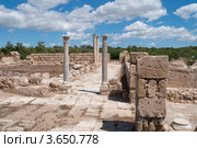 В древнем Саламисе. Северный Кипр (2012 год). Стоковое фото, фотограф Виктор Карасев / Фотобанк Лори