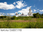 Высоцкий мужской монастырь. Серпухов (2012 год). Стоковое фото, фотограф Наталья Волкова / Фотобанк Лори