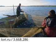 Рыбаки ловят рыбу сетями. Стоковое фото, фотограф Галина Хорошман / Фотобанк Лори