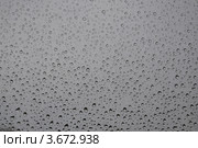 Капельки на стекле. Стоковое фото, фотограф Владимир Боханов / Фотобанк Лори