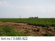 Картофельное поле, окраина поля, паханная земля. Стоковое фото, фотограф yaray / Фотобанк Лори