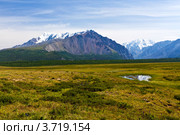 Алтайские вершины. Стоковое фото, фотограф Тимур Кузяев / Фотобанк Лори