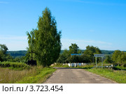 Въезд в с. Домнино – родина и вотчина матери царя М. Ф. Романова (2011 год). Стоковое фото, фотограф ElenArt / Фотобанк Лори