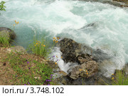 Горная река. КЧР. Кавказ. Стоковое фото, фотограф Rekacy / Фотобанк Лори