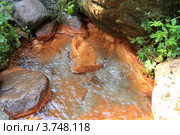 Источник минеральной воды. Стоковое фото, фотограф Rekacy / Фотобанк Лори