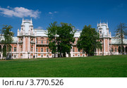 Большой Царицынский дворец (2012 год). Редакционное фото, фотограф Алексей Голованов / Фотобанк Лори