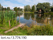 Пруд возле ЦРБ, город Духовщина, Смоленская область (2012 год). Стоковое фото, фотограф Вячеслав Палес / Фотобанк Лори