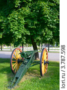 Полевая пушка 1878 года фирмы "Крупп" (2012 год). Редакционное фото, фотограф Валерия Попова / Фотобанк Лори