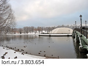Парк Царицыно зимой (2012 год). Редакционное фото, фотограф николай / Фотобанк Лори