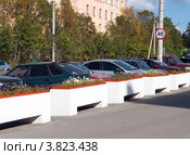 Клумбы разделяющие тротуар и проезжую часть, город Апатиты, Мурманская область (2012 год). Стоковое фото, фотограф Вячеслав Палес / Фотобанк Лори